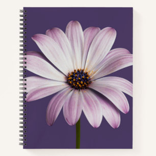 Flowers White & Purple Daisy Notebook