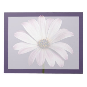 Flowers   White & Purple Daisy Notepad