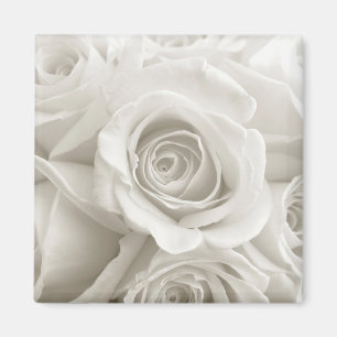 Flowers   White Roses Magnet