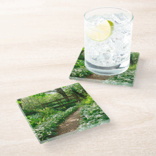 Flowers White Wildflowers in Forest Glass Coaster