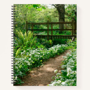 Flowers White Wildflowers in Forest Notebook
