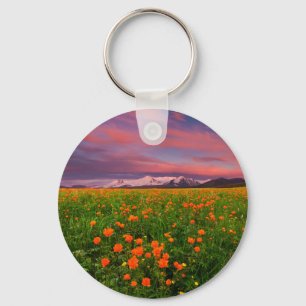 Flowers Wildflower Field Snowcapped Mountains Key Ring