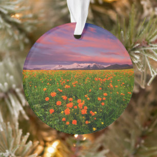 Flowers Wildflower Field Snowcapped Mountains Ornament