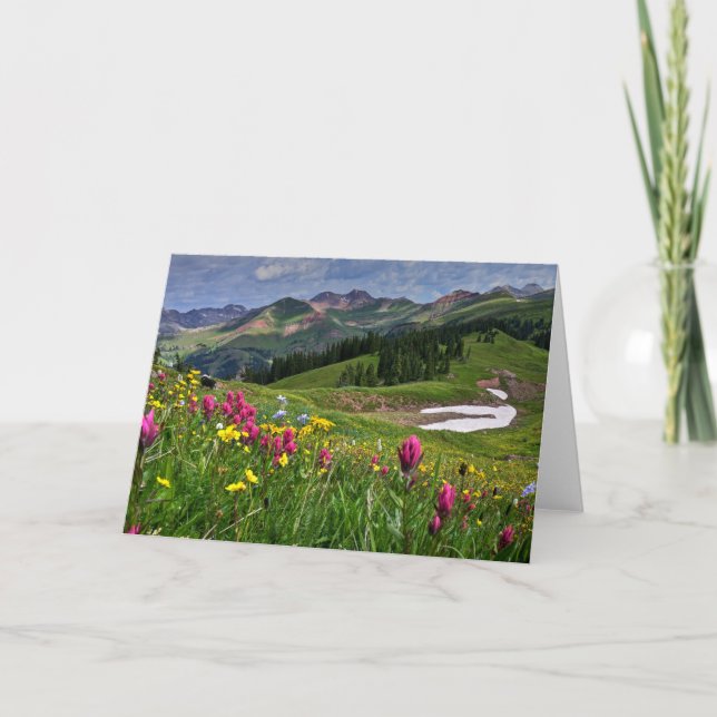 Flowers | Wildflowers Durango, Colorado Card (Front)