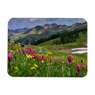 Flowers   Wildflowers Durango, Colorado Magnet