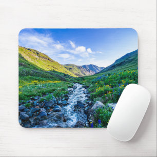 Flowers Wildflowers in Colorado Mouse Pad