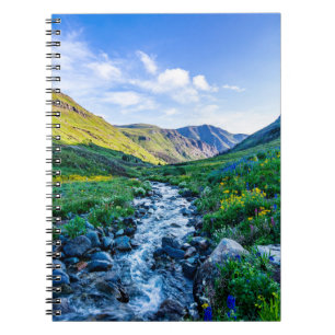 Flowers Wildflowers in Colorado Notebook