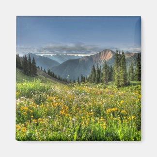 Flowers | Wildflowers Silverton Colorado Magnet