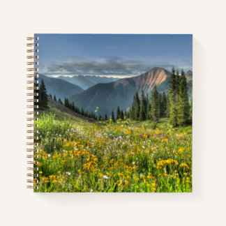 Flowers | Wildflowers Silverton Colorado Notebook