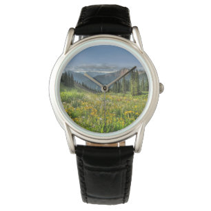 Flowers Wildflowers Silverton Colorado Watch