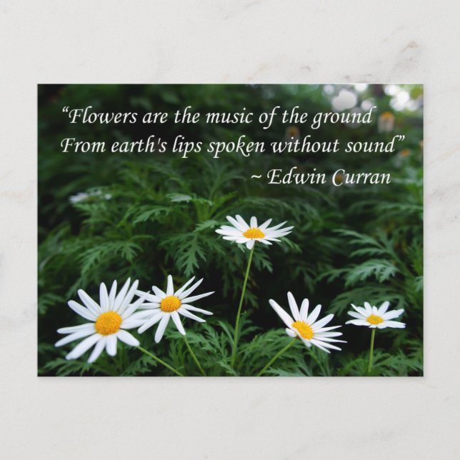 Flowers with Quotes Postcard (Front)