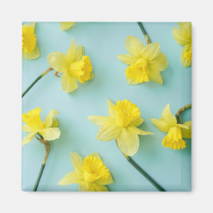 Flowers Yellow Daffodils Magnet