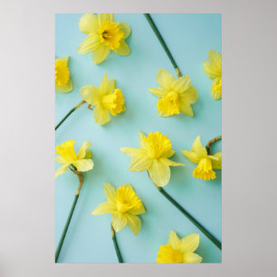 Flowers Yellow Daffodils Poster