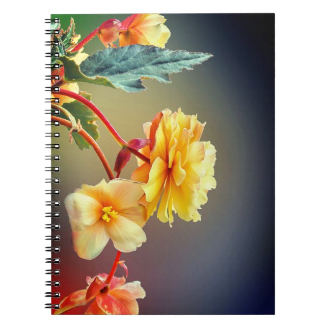 Flowers, Yellow flowers, Petals-63158 Notebook (Front)