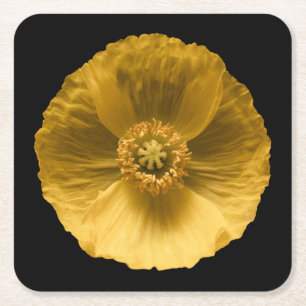 Flowers Yellow Poppy Square Paper Coaster