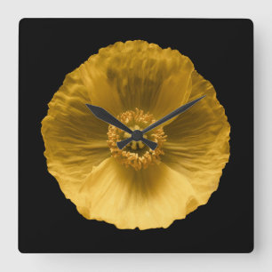 Flowers Yellow Poppy Square Wall Clock
