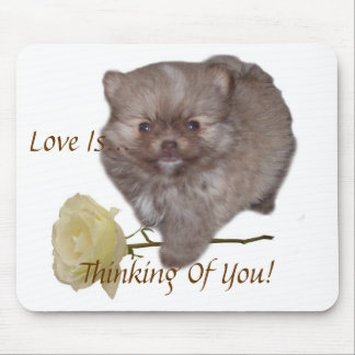 Flowers Zeus Pomeranian  Love Is Thinking Of You!  Mouse Pad