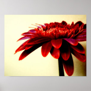 FLOWERSERIES-007 POSTER