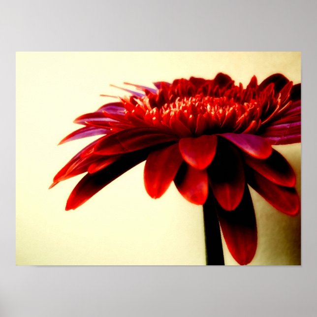 FLOWERSERIES-007 POSTER (Front)