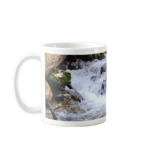 Flowing Forest Stream with Mossy Rocks