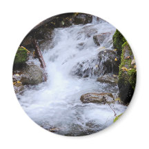 Flowing Forest Stream with Mossy Rocks