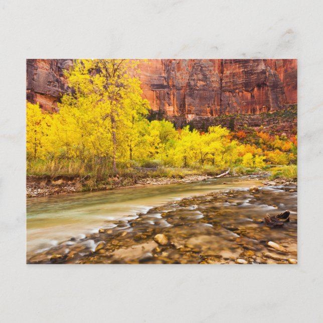 Flowing Into Autumn Postcard (Front)