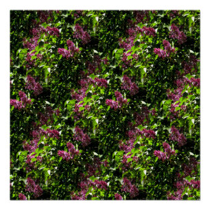 Flowing Lilacs..... Poster