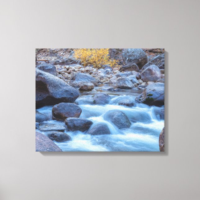 Flowing Stream Canvas Print (Front)