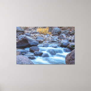 Flowing Stream Canvas Print