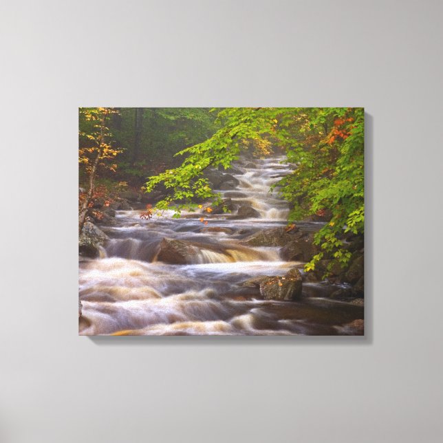 Flowing Streams Along the Appalachian Trail Canvas Print (Front)