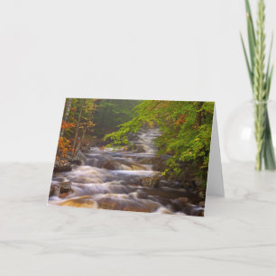 Flowing Streams Along the Appalachian Trail Card