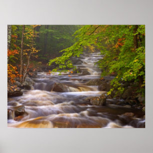 Flowing Streams Along the Appalachian Trail Poster