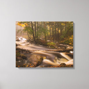 Flowing Streams Appalachian Trail   Vermont Canvas Print