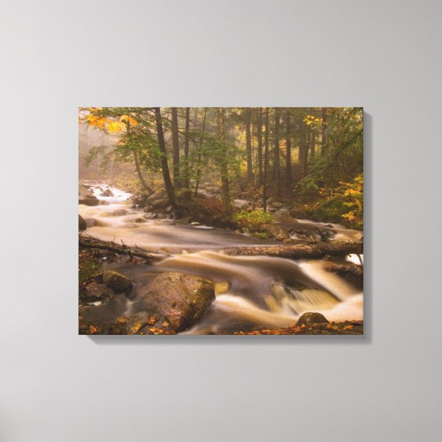 Flowing Streams Appalachian Trail | Vermont Canvas Print (Front)