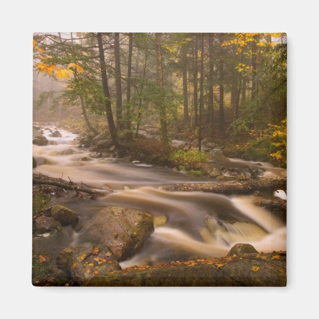 Flowing Streams Appalachian Trail | Vermont Magnet (Front)