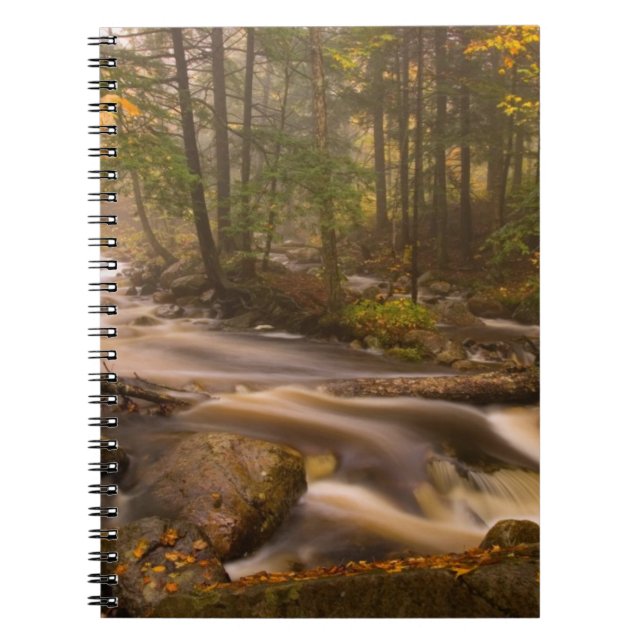 Flowing Streams Appalachian Trail | Vermont Notebook (Front)