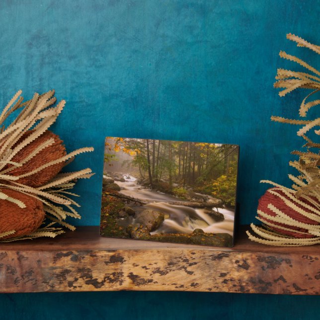 Flowing Streams Appalachian Trail | Vermont Plaque (Side)