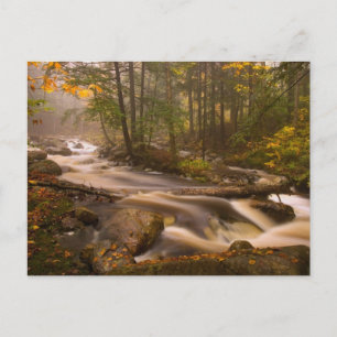Flowing Streams Appalachian Trail Vermont Postcard