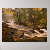 Flowing Streams Appalachian Trail | Vermont