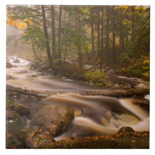 Flowing Streams Appalachian Trail Vermont Tile