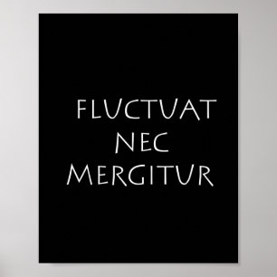 Fluctuat nec mergitur poster