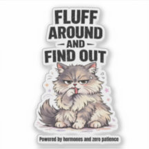 Fluff Around and Find Out Perimenopause Chaos Cat