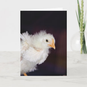 Fluff Card