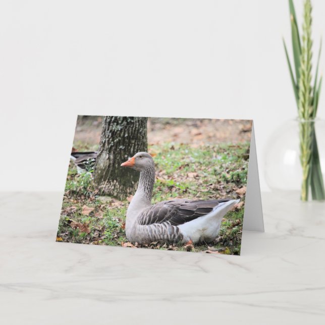 Fluff Holiday Card (Front)