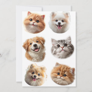 Fluffing Around Holiday Card