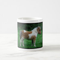 Fluffy Adorable Dartmoor Pony