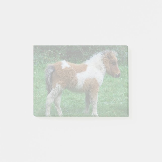 Fluffy Adorable Dartmoor Pony Post-it Notes (Front)