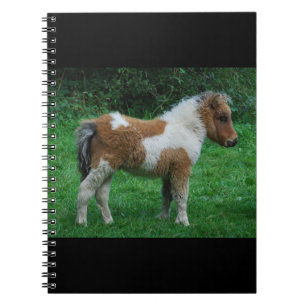 Fluffy Adorable Dartmoor Pony Spiral Notebook