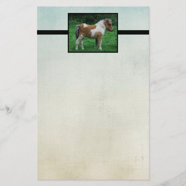 Fluffy Adorable Dartmoor Pony Stationery (Front)