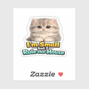 Fluffy Baby Cat – I’m Small but I Rule the House 